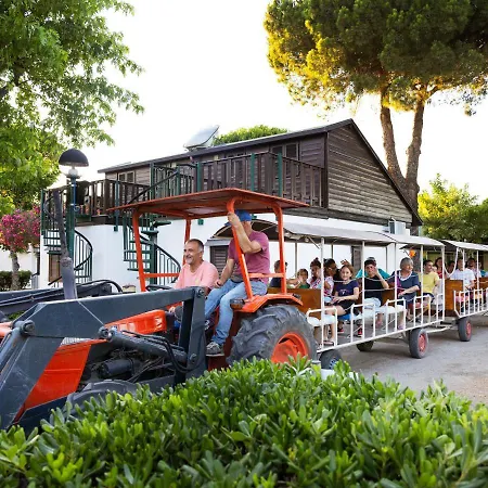 Mare Pineta Casal Borsetti